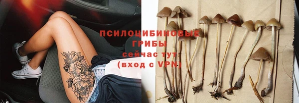крисы Зеленодольск