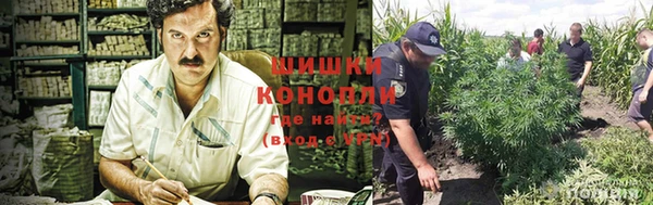 дмт Зерноград