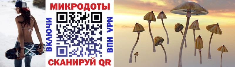 Купить где  Славянск-на-Кубани  Псилоцибиновые грибы Psilocybe 